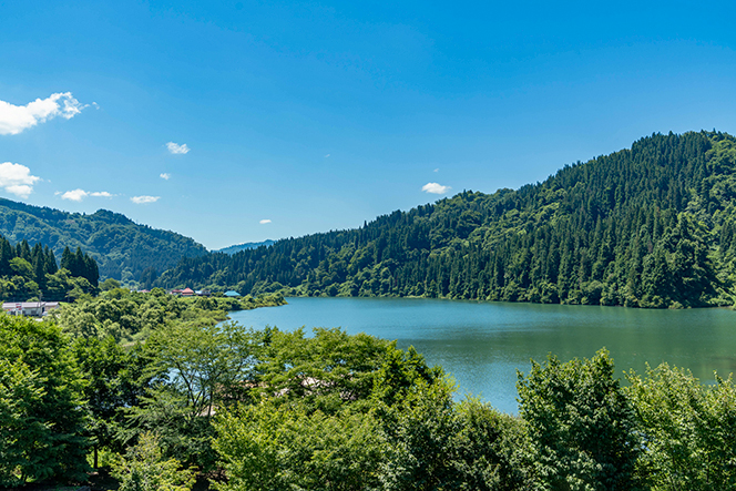 東北エネルギー懇談会 バスツアー イメージ