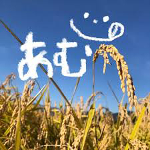 東北エネルギー懇談会 バスツアー イメージ